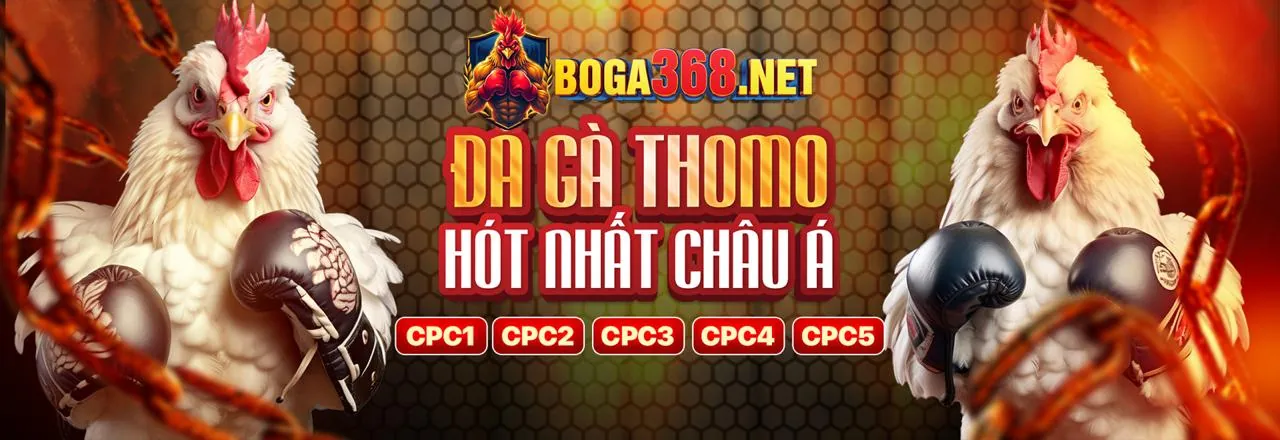 Tổng quan các chuyên mục trên Blog 9bet win